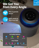 Airmega 100
