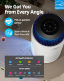Airmega 100