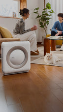 <h5>Shop Products</h5>