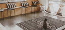 cat inside kitty cantina near coway airmega air purifier