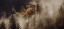What's Actually Burning During Fire Season (And How to Protect Your Home)