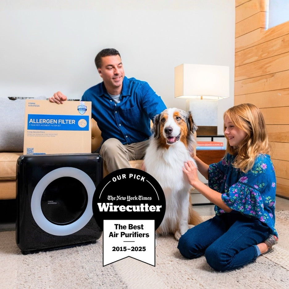 The Airmega Mighty award-winning air purifier.