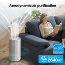 Airmega 350 Filter