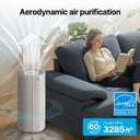 Airmega 450 Filter