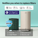 Airmega 350 Filter