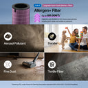 Airmega 450 Filter