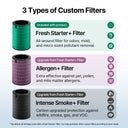 Airmega 450 Filter