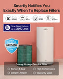 Airmega 450