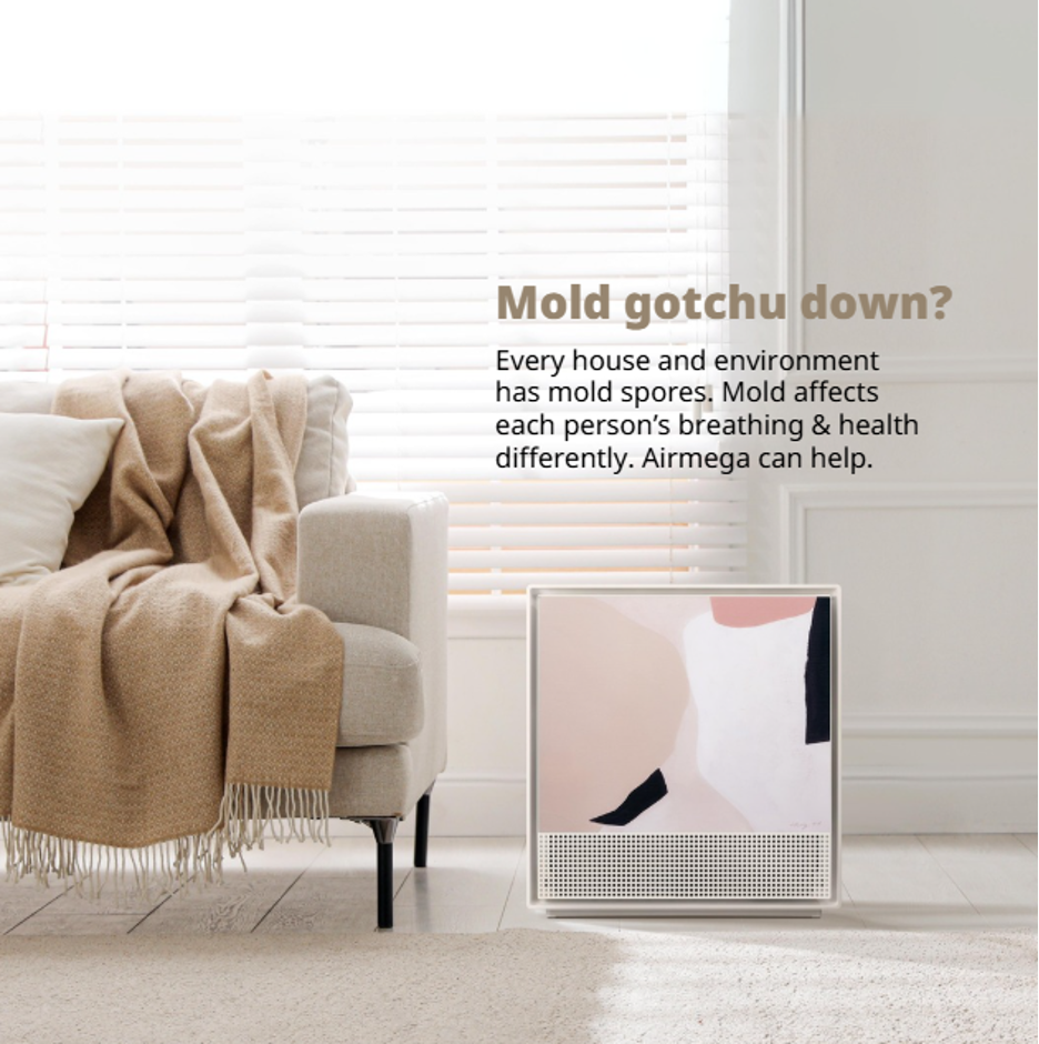 Mold graphic in houses.